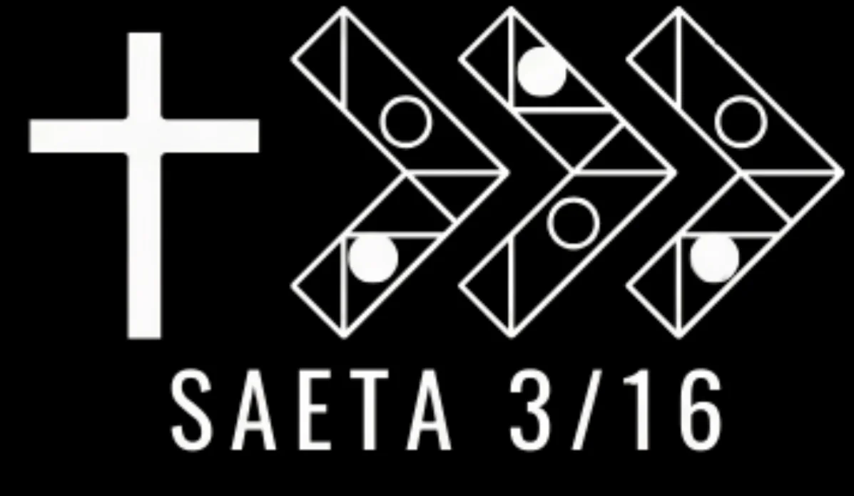 Logo Saeta 316